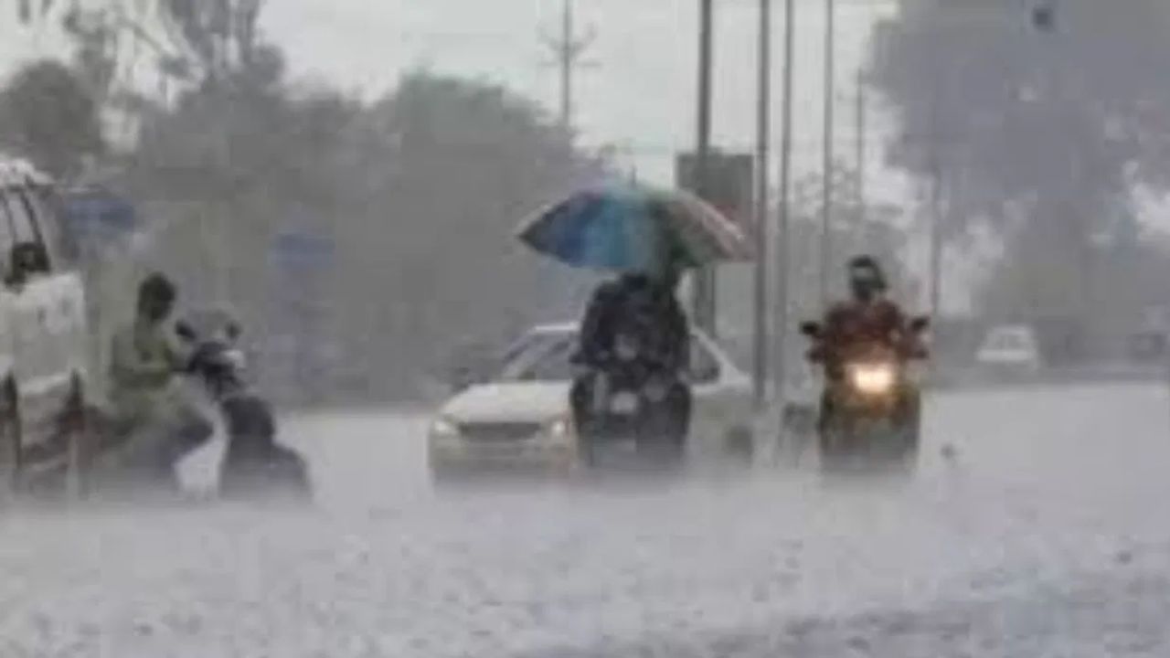 महाराष्ट्रात पावसाचं जोरदार पुनरागमन झालं आहे, राज्यातील अनेक भागांना पावसाचा जोरदार तडाखा बसला आहे, मराठवाडा आणि विदर्भात सध्या जोरदार पाऊस सुरू आहे. पावसामुळे पिकांना मोठा फटका बसला असून, शेतकऱ्यांचं नुकसान झालं आहे.