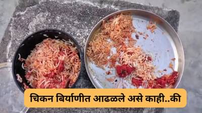 झोमॅटोवरुन मागवली बिर्याणी, खाण्यासाठी सुरुवात करताच दिसले असे काही की...
