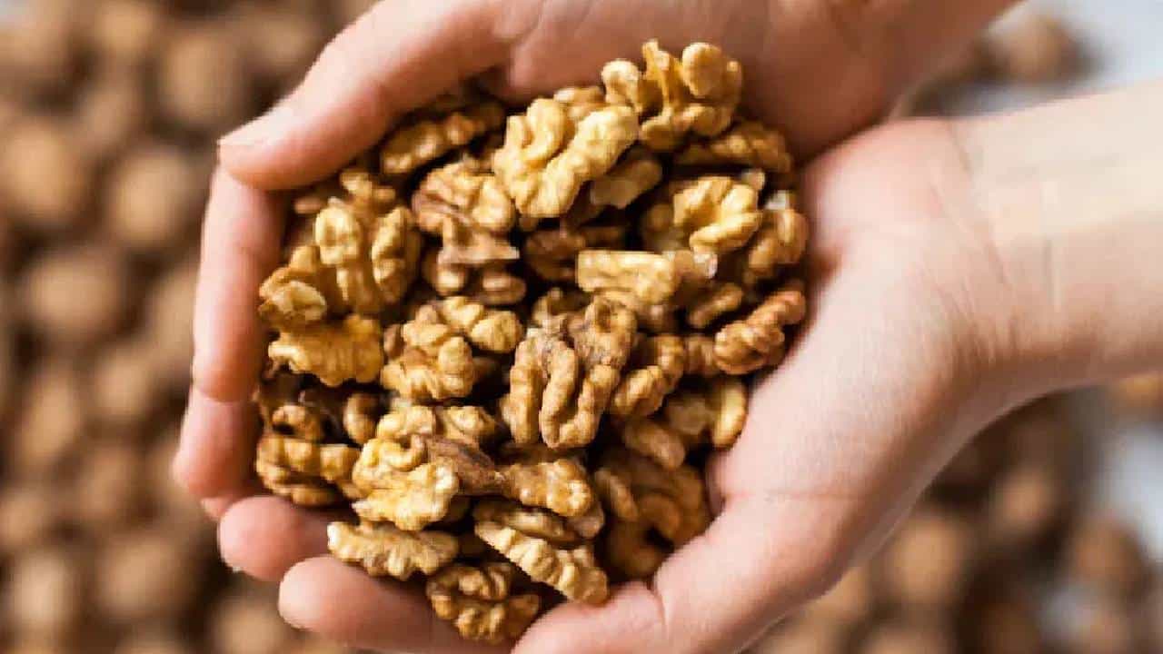 अक्रोड की बदाम कोणामुळे तुमच्या आरोग्याला जास्ती प्रमाणात पोषण मिळते....