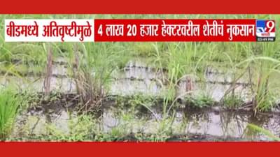 अतिवृष्टीमुळे बीडच्या 4 लाख 20 हजार हेक्टरवरील शेतीचं नुकसान