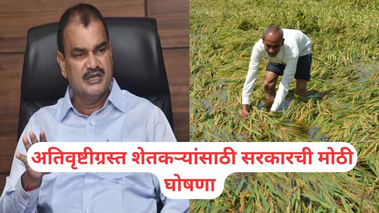 शेतकर्यांना दिलासा! आर्थिक मदत मिळणार, कृषिमंत्री दत्तात्रय भरणे यांची मोठी घोषणा