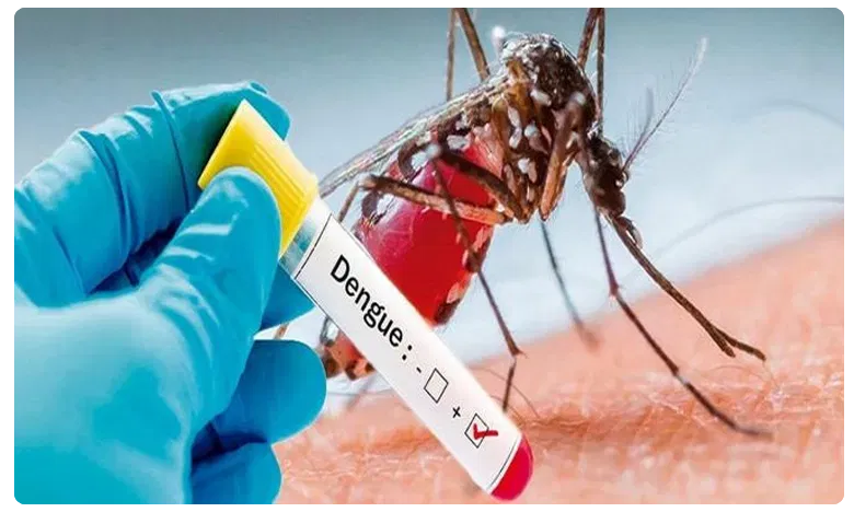 डेंग्यू झाल्यानंतर बकरीचे दूध पिताय? थांबा! होते नुकसान, संशोधकांचा दावा काय? डेंग्यू झाल्यानंतर बकरीचे दूध पिताय? थांबा! होते नुकसान, संशोधकांचा दावा काय?