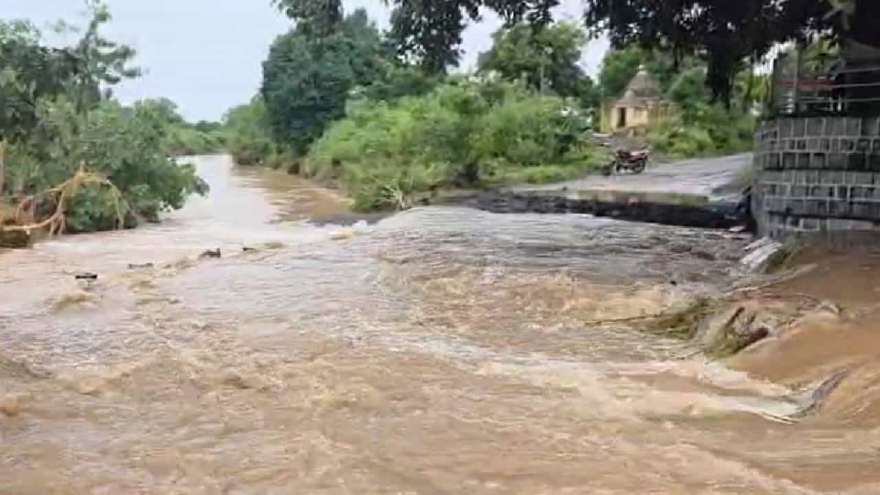 धाराशिव जिल्ह्यात रात्रभर मुसळधार पाऊस पडला. गेल्या दोन दिवसांच्या पावसामुळे जिल्ह्यातील सर्व शाळांना आज सुट्टी जाहीर करण्यात आली. प्राथमिक, माध्यमिक आणि उच्च माध्यमिक शाळांना सुट्टी जाहीर करण्यात आली आहे. धाराशिवच्या भूम परंडासह कळंब परिसरातही रात्री जोरदार पाऊस झाला. पावसामुळे नदी नाल्यांना पूर आला असून अनेक रस्ते बंद असल्याने वाहतूक विस्कळीत झाली आहे.
