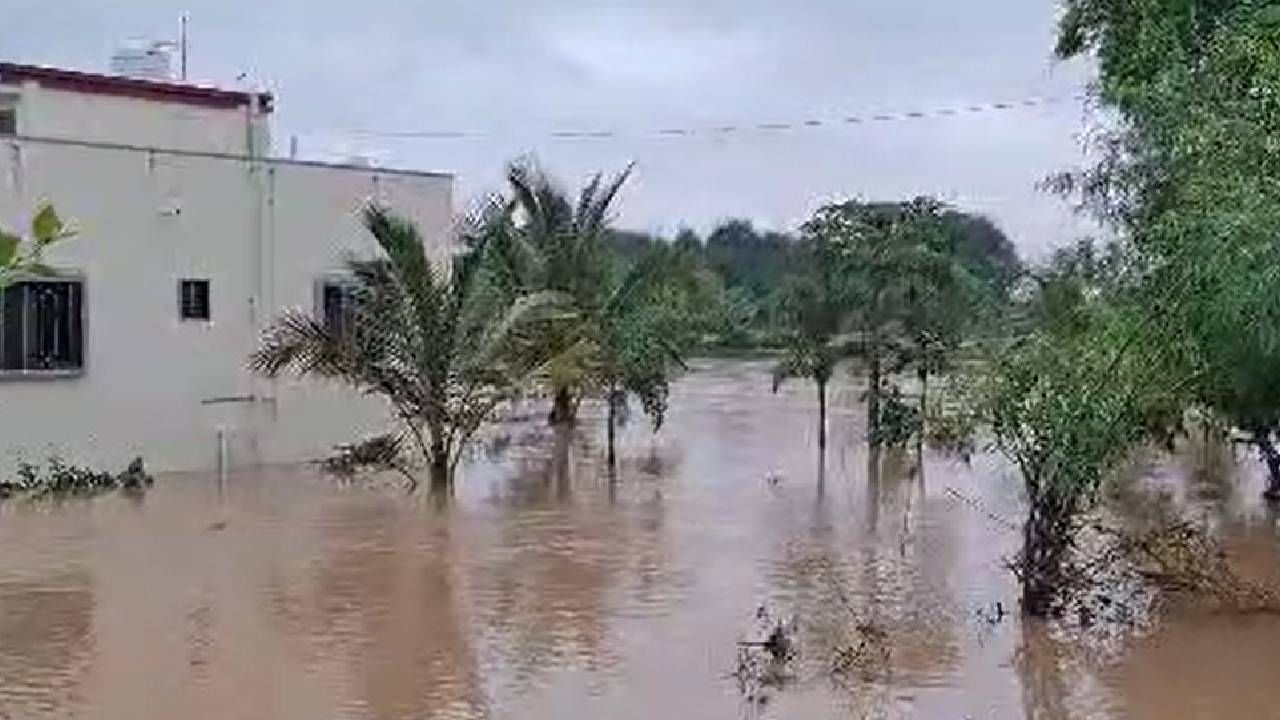 धाराशिव जिल्ह्यातील परंडा तालुक्यात पिंपळगाव इथल्या गोठ्यात बांधलेल्या 20 गायी पुरामुळे दावणीला दगावल्या. भूम तालुक्यातील तीन गावांतील सहा कुटुंबांतील एकूण 14 जणांना पुराच्या पाण्यातून हेलिकॉप्टरद्वारे सुरक्षित बाहेर काढलं. 
