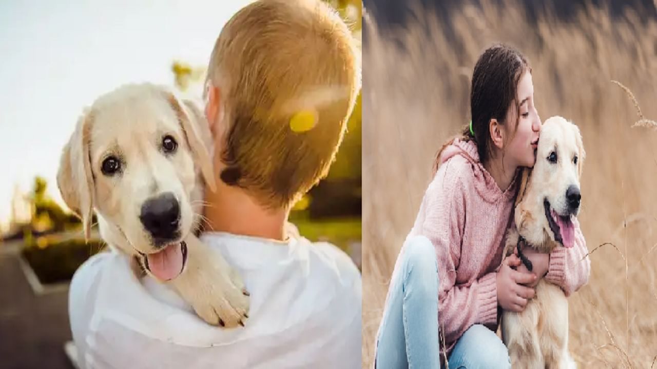 घरामध्ये कुत्रा पाळल्यामुळे तुमच्या कुंडलीतील कोणता ग्रह मजबूत होतो? जाणून घ्या...