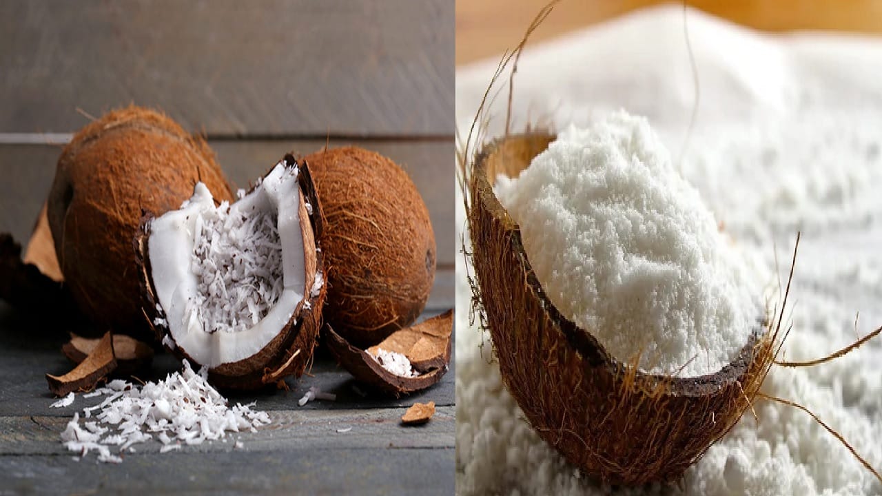 दररोज सकाळी रिकाम्या पोटी सुके नारळ खाल्ल्याने शरीरात काय बदल होतात; सुपरफूडचे अनेक फायदे