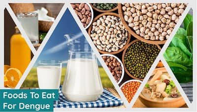 पावसाळ्यात डेंग्यूपासून बचावासाठी काय करावं? जाणून घ्या तज्ञांचे मत....