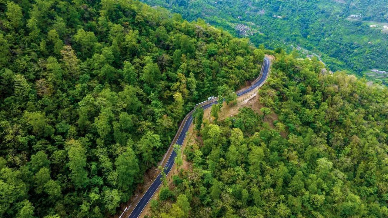 कर्नाटक: कर्नाटकमध्ये अंदाजे 43,382 चौरस किलोमीटर क्षेत्रावर जंगल आहे. ज्यामध्ये अनेक व्याघ्र प्रकल्प, 30 वन्यजीव अभयारण्ये, 15 संवर्धन प्रकल्प आणि एक सामुदायिक अभयारण्याचा समावेश आहे.