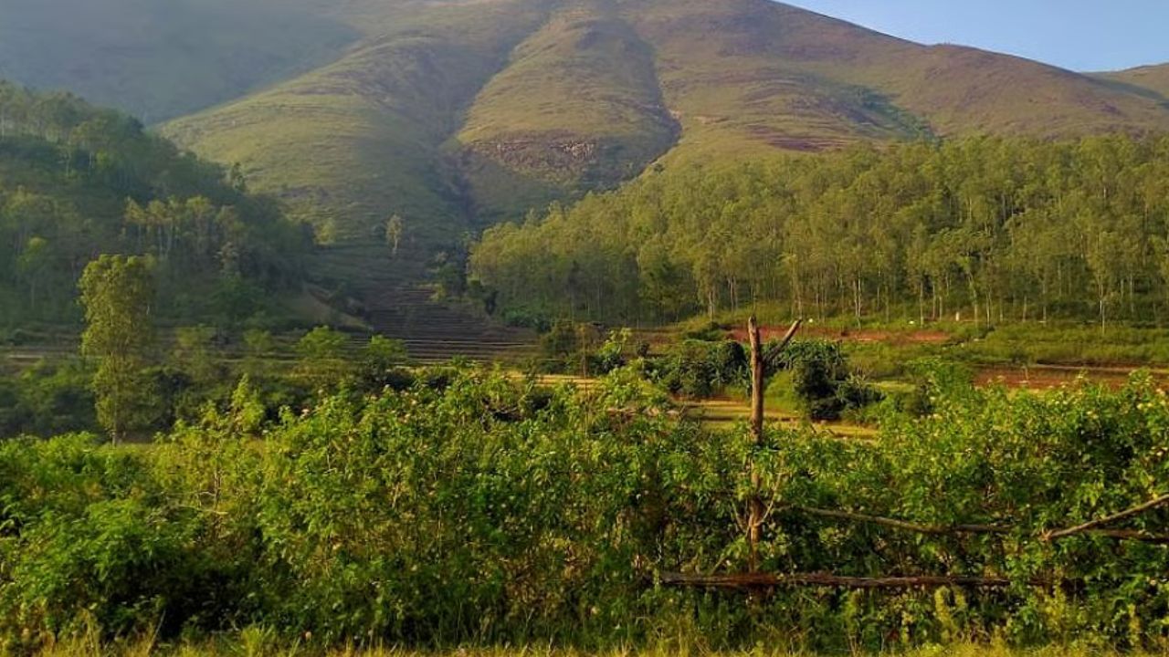अरुणाचल प्रदेश: अरुणाचल प्रदेशात अंदाजे 83743 चौरस किलोमीटर क्षेत्रावर जंगल आहे. हे राज्य दुसऱ्या क्रमांकावर आहे. अरुणाचल प्रदेशातील जंगलात विविध वनस्पती आणि प्राणी आढळतात.