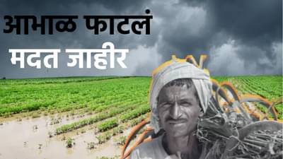 Cabinet Meeting पूर्वीच शेतकऱ्यांसाठी आनंदवार्ता; पीक नुकसानीसाठी 2,215 कोटींची मदत जाहीर, कुणाला फायदा होणार?