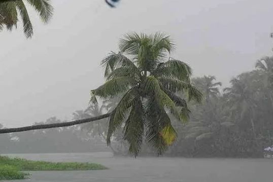 सध्या मराठवाड्यात पावसाने थैमान घातले आहे. लोकांच्या शेतात चार-चार फूट पाणी साचले आहेत. मका, कापूस, तूर यासारखी पिके मुसळधार पावसामुळे वाहून गेली आहेत. पावसाच्या या रौद्र रुपाचा हजारो शेतकऱ्यांना फटका बसला आहे. 