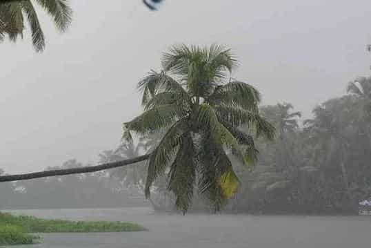 सध्या मराठवाड्यात पावसाने थैमान घातले आहे. लोकांच्या शेतात चार-चार फूट पाणी साचले आहेत. मका, कापूस, तूर यासारखी पिके मुसळधार पावसामुळे वाहून गेली आहेत. पावसाच्या या रौद्र रुपाचा हजारो शेतकऱ्यांना फटका बसला आहे.