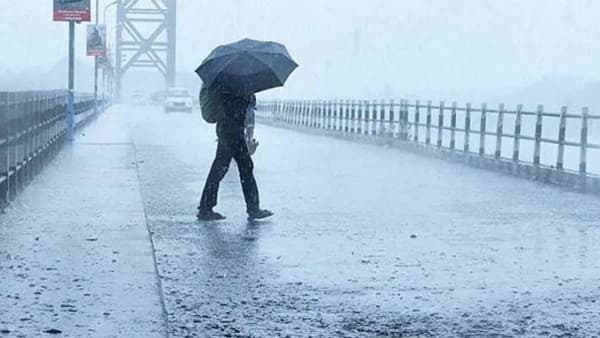 IMD Weather Update : महाराष्ट्रात 17 जिल्ह्यांना हाय अलर्ट, गरज असेल तरच घराबाहेर पडा, पावसाचा पुन्हा मोठा इशारा
