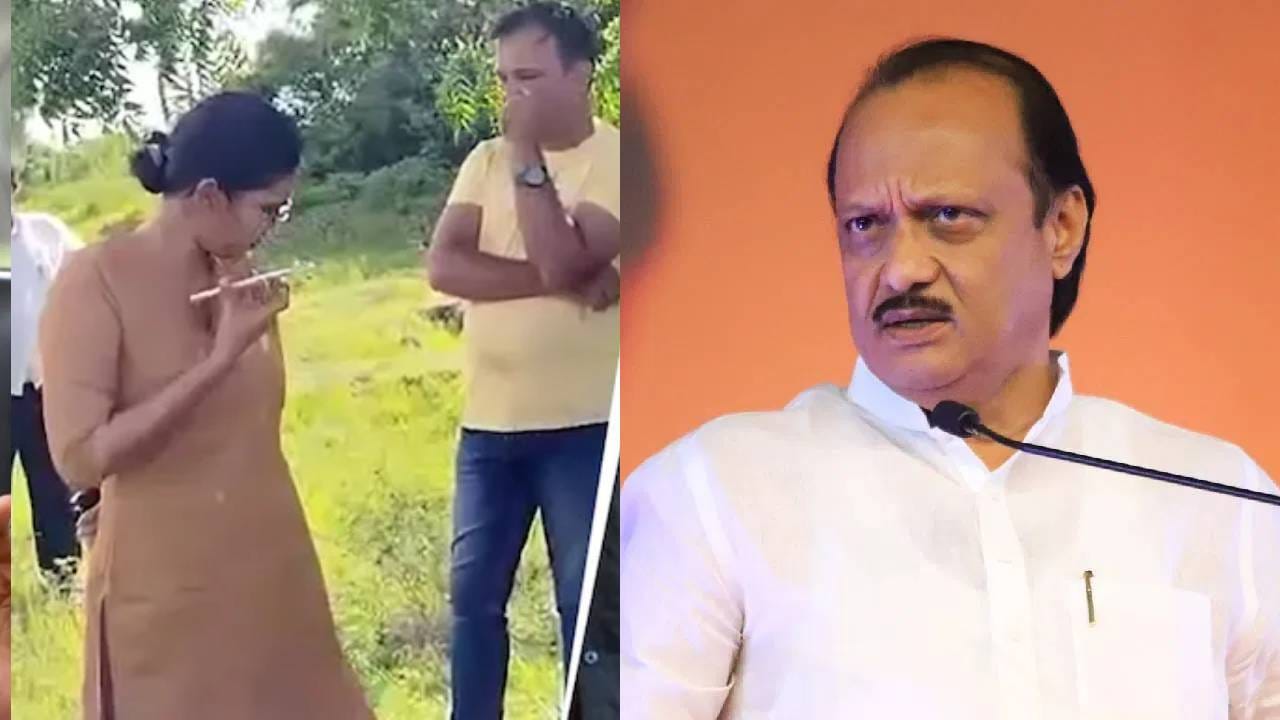 बीएससी पदवी संपादन करुन अंजली या UPSC परीक्षेच्या तयारी लागल्या होत्या. पहिल्याच प्रयत्नात त्यांना यश मिळाले आहे.