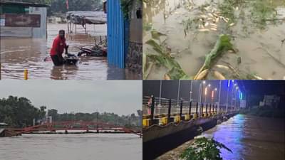 Jalgaon Flood : वीज गायब, घरं पाण्याखाली, शेतात चिखल; जळगावात पावसाचा कहर, सद्यस्थिती काय?