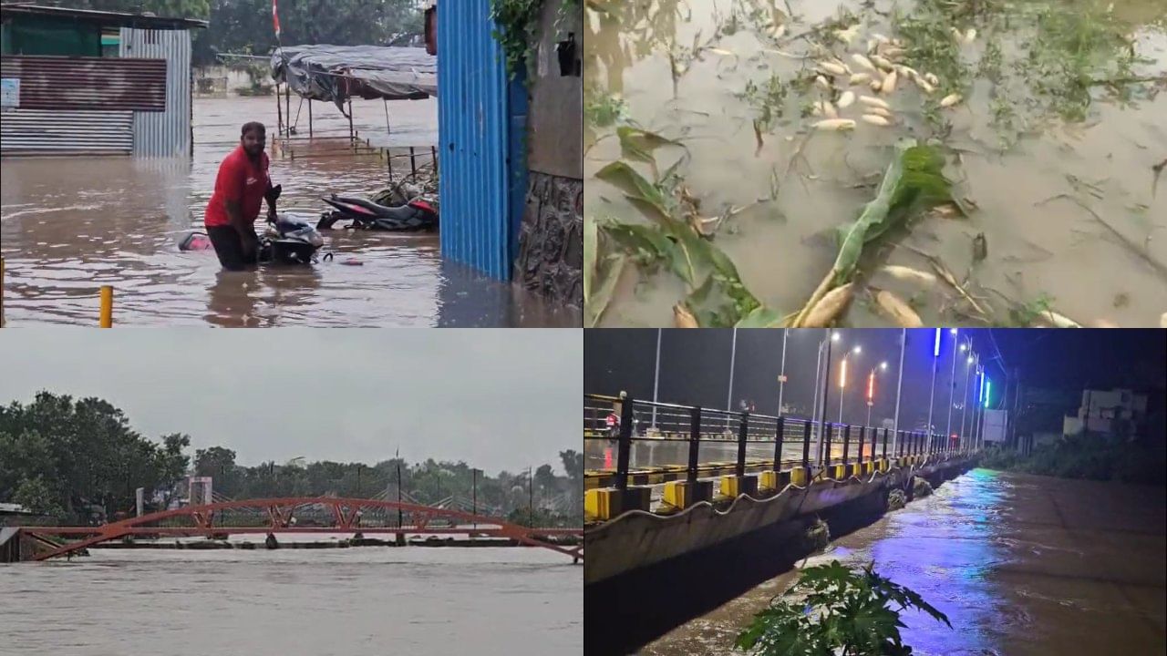 Jalgaon Flood : वीज गायब, घरं पाण्याखाली, शेतात चिखल; जळगावात पावसाचा कहर, सद्यस्थिती काय?
