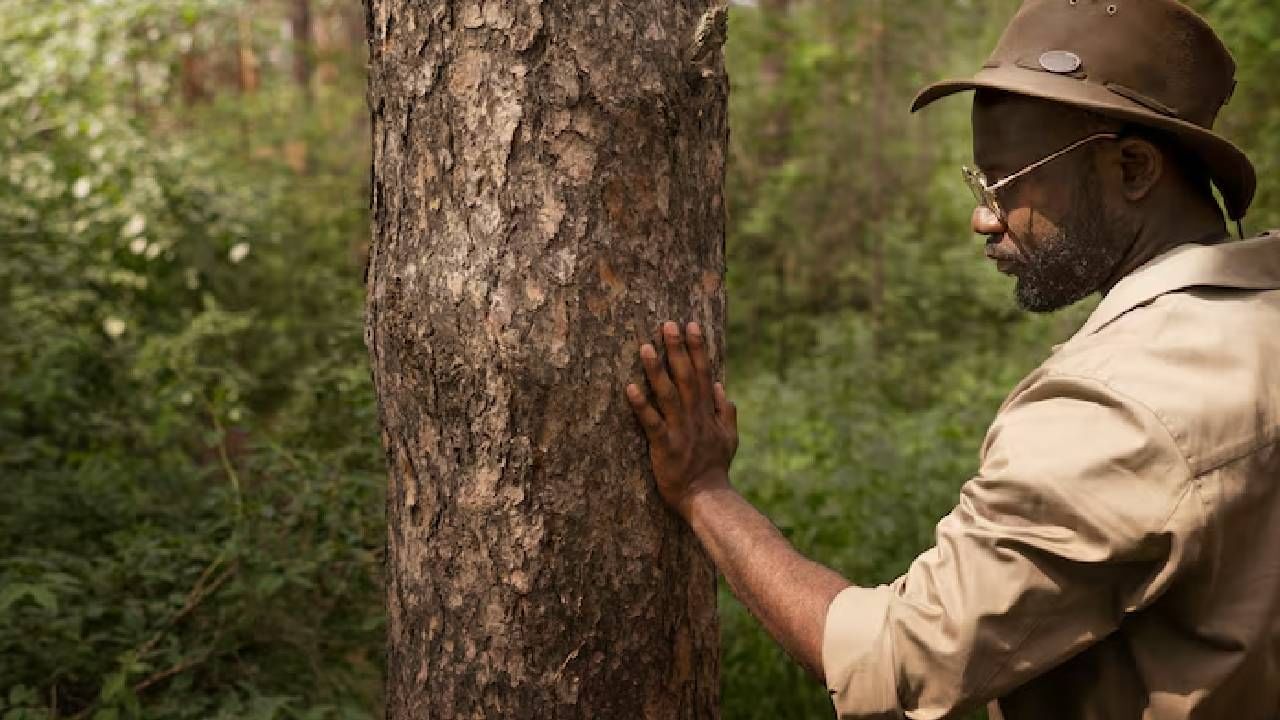 या भरती मोहिमेअंतर्गत एकूण 52 पदांवर नियुक्त्या होणार आहेत. यापैकी 19 पदे सामान्य वर्गासाठी, 18 पदे इतर मागासवर्गीय (OBC) उमेदवारांसाठी ठेवण्यात आली आहेत. अनुसूचित जाती (SC) साठी 6 पदे, अनुसूचित जमाती (ST) साठी 5 पदे आणि आर्थिकदृष्ट्या दुर्बल घटक (EWS) साठी 4 पदे देण्यात येणार आहेत. म्हणजेच ही भरती सर्व वर्गातील तरुणांसाठी संधी घेऊन आली आहे.