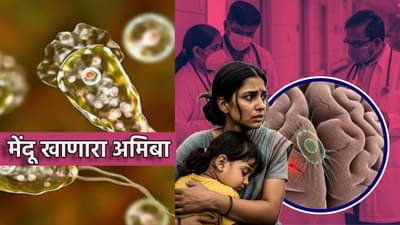 Brain Eating Amoeba : मेंदू खाणाऱ्या अमिबाची दहशत; 19 जणांचा घेतला बळी, पसरतो कसा, अगोदर घ्या ही काळजी