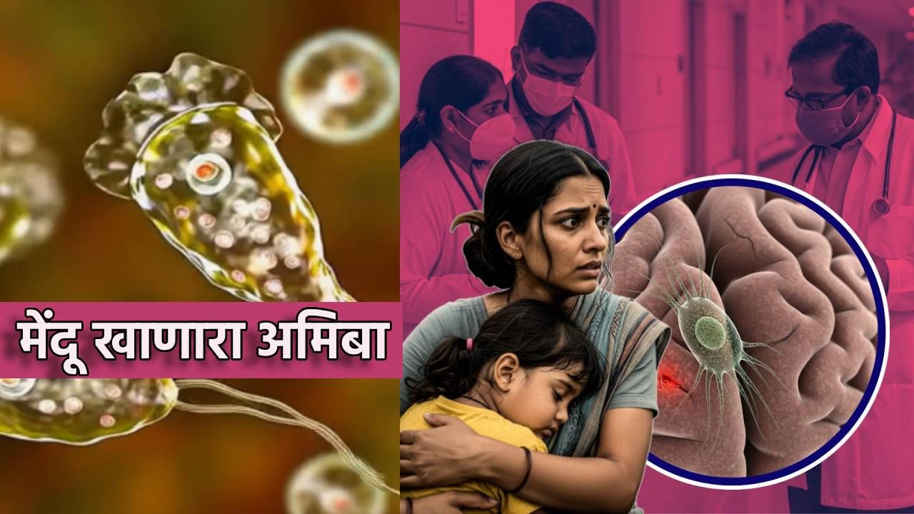 Brain Eating Amoeba : मेंदू खाणाऱ्या अमिबाची दहशत; 19 जणांचा घेतला बळी, पसरतो कसा, अगोदर घ्या ही काळजी