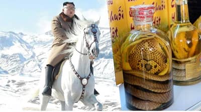 स्नेक वाईन ते सोन्याच्या मुलाम्याची सिगारेट्स, हुकूमशाह किम जोंग उन यांचे हैराण करणारे शौक