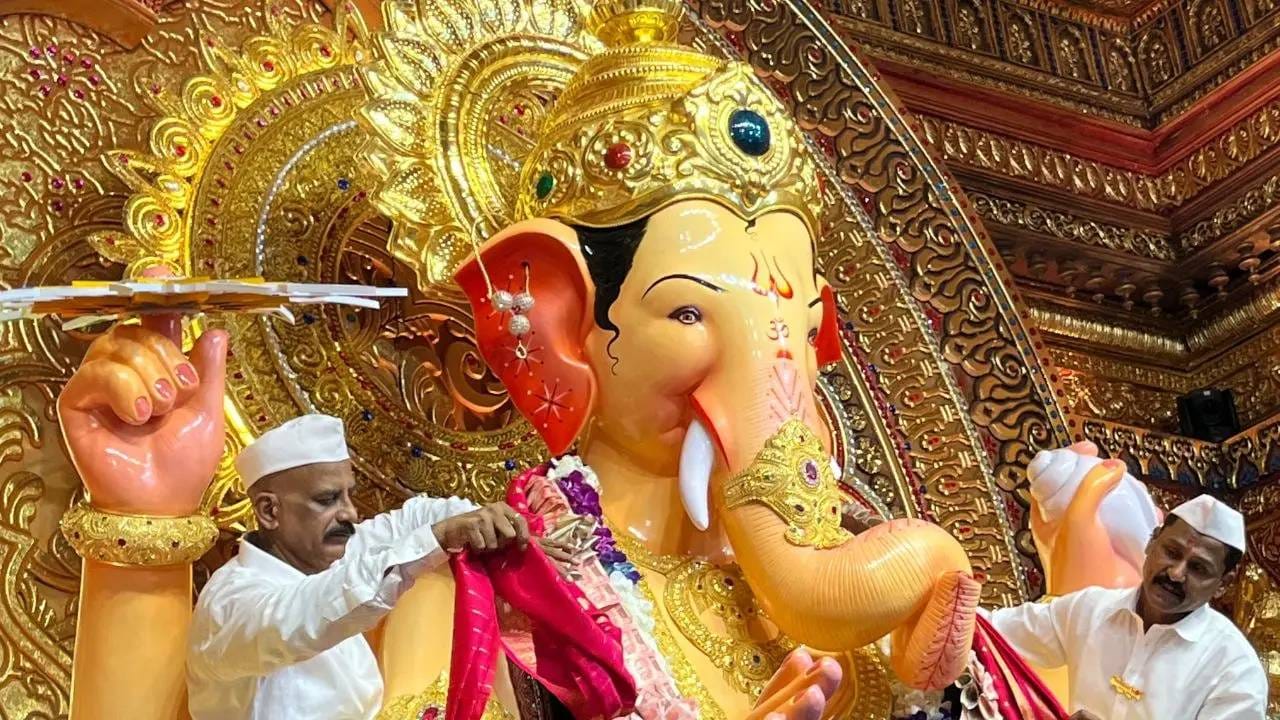 गणेशोत्सवाला सुरूवात झाली असून मुंबईतील लालबाग राजाच्या दर्शनासाठी भाविकांची गर्दी ही वाढताना दिसत आहे. मात्र, बऱ्याच लोकांना लालबाजच्या राजाला दर्शनासाठी यायचे असते. मात्र, कसे यायचे याची कल्पना नाहीये, चला तर मग जाणून घ्या लालबागच्या राजाचे लोकेशन आणि दर्शनाचा वेळ. 