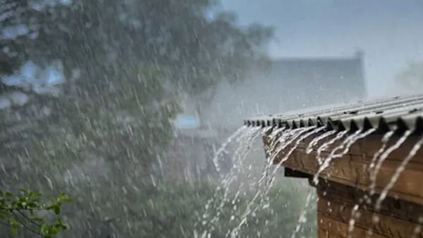Maharashtra Rain Forecast : गरज असेल तरच बाहेर पडा, पुढील 72 तास अतिमुसळधार पाऊस, या जिल्ह्यांना हाय अलर्ट