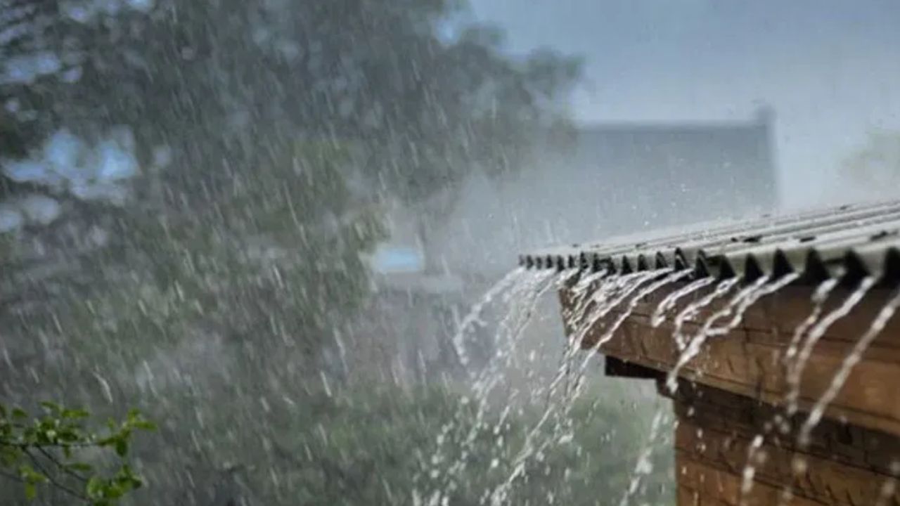 Maharashtra Rain Forecast : गरज असेल तरच बाहेर पडा, पुढील 72 तास अतिमुसळधार पाऊस, या जिल्ह्यांना हाय अलर्ट