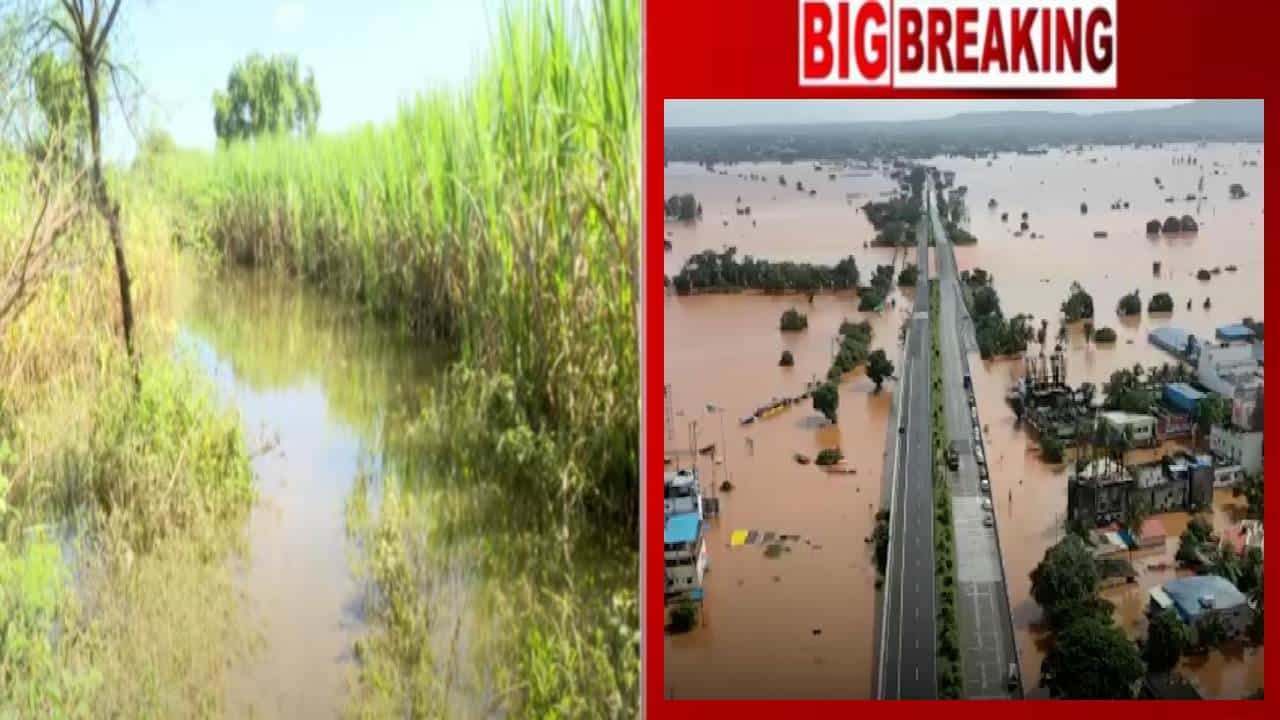 Maharashtra Flood : अतिवृष्टीनं 32 लाख हेक्टर पिकांचे नुकसान, पूरस्थितीचा किती जिल्ह्यांना बसला फटका? मदत पुनर्विकास मंत्र्यांची मोठी माहिती
