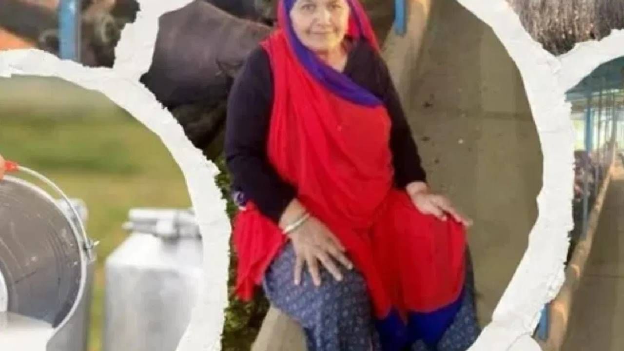 Success Story : खरच मणिबेनकडून खूप काही शिकण्यासारखं, फक्त दूध विकून कमावते कोट्यवधी, वाचा तिची सक्सेस स्टोरी