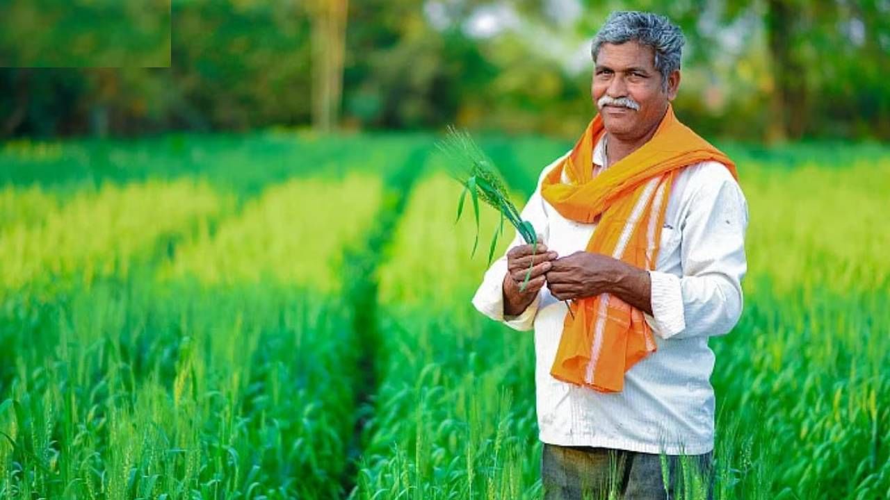 नमो शेतकरी महासन्मान निधी योजनेचा ७ वा हफ्ता आज वितरित झाला अशी माहिती मुख्यमंत्री देवेंद्र फडणवीस यांनी दिली. 