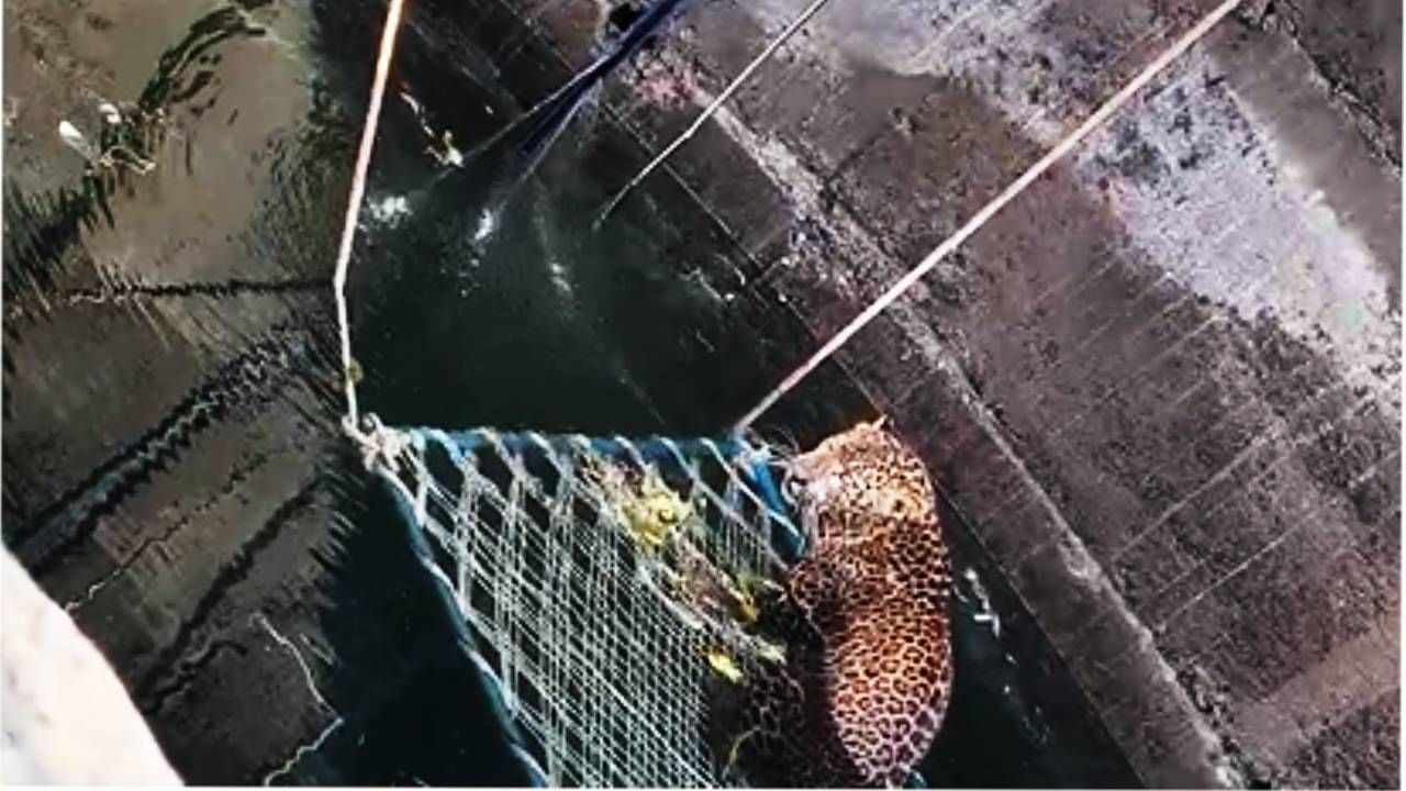 तोपर्यंत गावात एकच दहशतीचे वातावरण पसरले होते. बघ्यांची एकच गर्दी उसळली होती. 