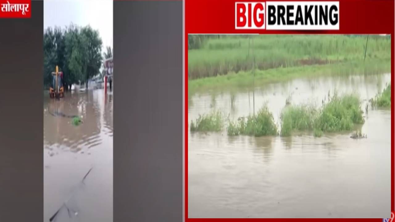 Solapur Water Logging : माढातील वाकाव गावाला पुरानं वेढलं, 2 हजारांपेक्षा अधिक लोकं पुरात अडकले, बघा भीषण स्थिती Solapur Water Logging : माढातील वाकाव गावाला पुरानं वेढलं, 2 हजारांपेक्षा अधिक लोकं पुरात अडकले, बघा भीषण स्थिती
