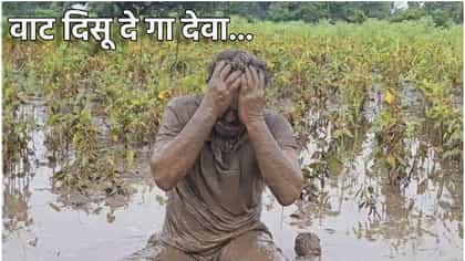 निसर्गा, सांग इतका क्रूर का वागलास? शेतकऱ्याचा आक्रोश कसा नाही दिसला?