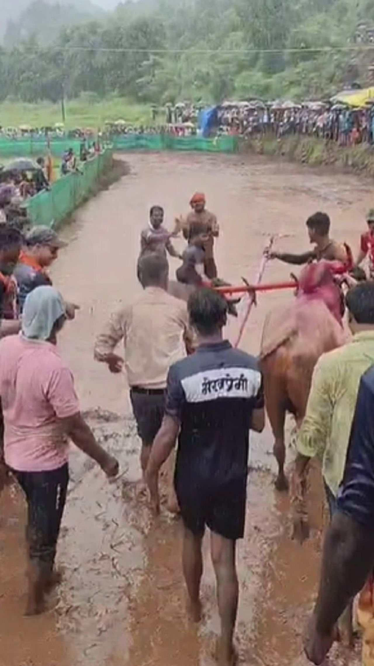 कोकणात विरंगुळा हवा म्हणून शेतकरी लाल चिखलातील मातीत नांगरणी स्पर्धा आयोजित करत असतो अशीच नांगरणी स्पर्धा नुकतीच निवळी येथील शेतामध्ये आयोजित करण्यात आली होती