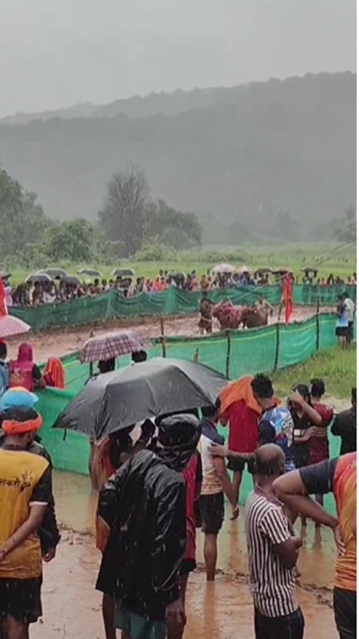 या स्पर्धेत रत्नागिरी जिल्ह्याचे पोलीस अधीक्षक नितीन बगाटे यांनी नांगरणी स्पर्धेत स्वतः चिखलात नांगरणी स्पर्धेत सहभाग घेऊन बैल जोडी हाकली आणि प्रेक्षकांची मन जिंकली