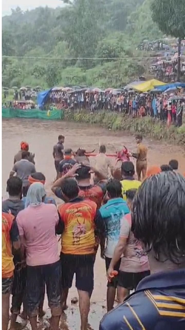 कोकणच्या तांबड्या माती चिखलामध्ये नांगरणी स्पर्धा मोठ्या उत्साहात होत असतात आणि स्वतः जिल्ह्याचे पोलीस अधीक्षक नितीन बगाटे यांनी या स्वतः स्पर्धेत घेतलेला सहभाग लक्षवेधी ठरला आहे.