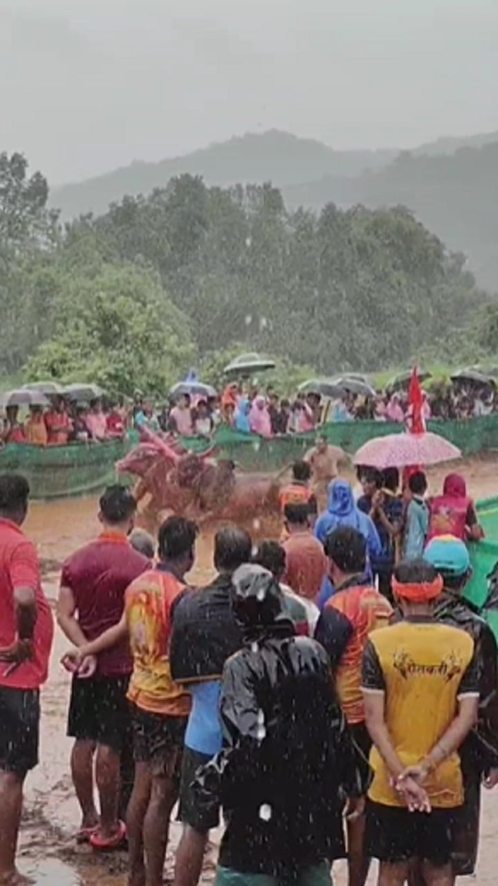 शेतकऱ्यांच्या मुलगा ना आयपीएस होऊन देखील आणि स्वतः जिल्हाध्यक्ष पदावर  रुजू असताना देखील शेतकऱ्यांच्या स्पर्धेमध्ये घेतलेला उत्स्फूर्त सहभाग सर्वसामान्य शेतकऱ्यांना  ऊर्जा देणार आहे. 