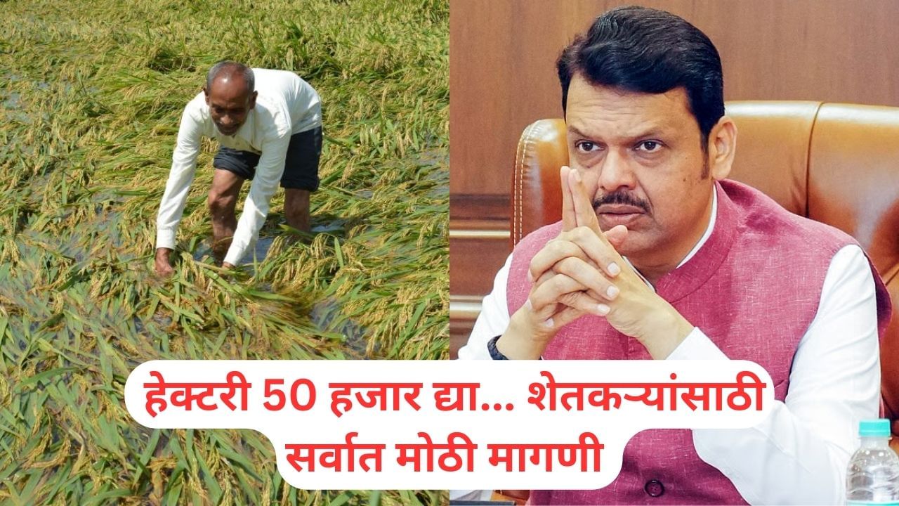 ओला दुष्काळ जाहीर करून हेक्टरी 50 हजार द्या… शेतकऱ्यांसाठी सर्वात मोठी मागणी, मुख्यमंत्र्यांच्या निर्णयाकडे लक्ष!