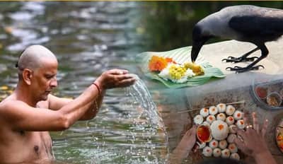 पितृ पक्षातील पहिल्या दिवशी चुकूनही या गोष्टी करू नका....