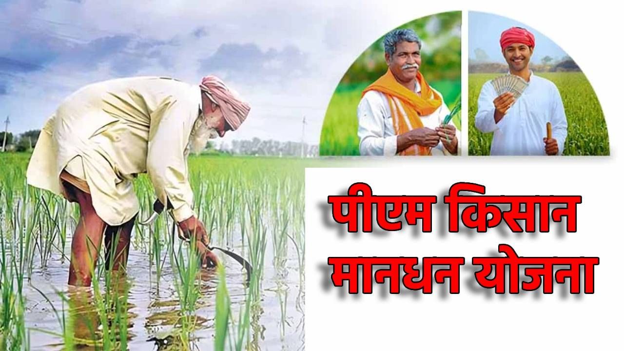 या योजनेत शेतकऱ्यांना मिळते पेन्शन; अर्ज कसा करणार ते घ्या जाणून