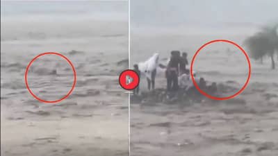 Viral Video : बघता बघता 18 लोकांचं कुटुंब वाहून गेलं, कोणी काहीच करु शकले नाही! हृदयद्रावक व्हिडीओ व्हायरल