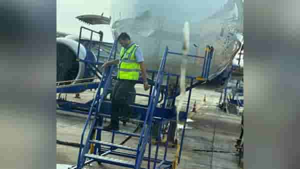 Plane Emergency Landing : विमान हवेत असताना अचानक पक्षी धडकला, त्यानंतर...विमानात 272 प्रवासी, नागपुरची घटना
