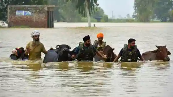 4100पेक्षा जास्त गावांमध्ये हाहाकार, 4 कोटी लोकांवर परिणाम, 56 मृत्यू.. पंजाबमध्ये मोठं संकट