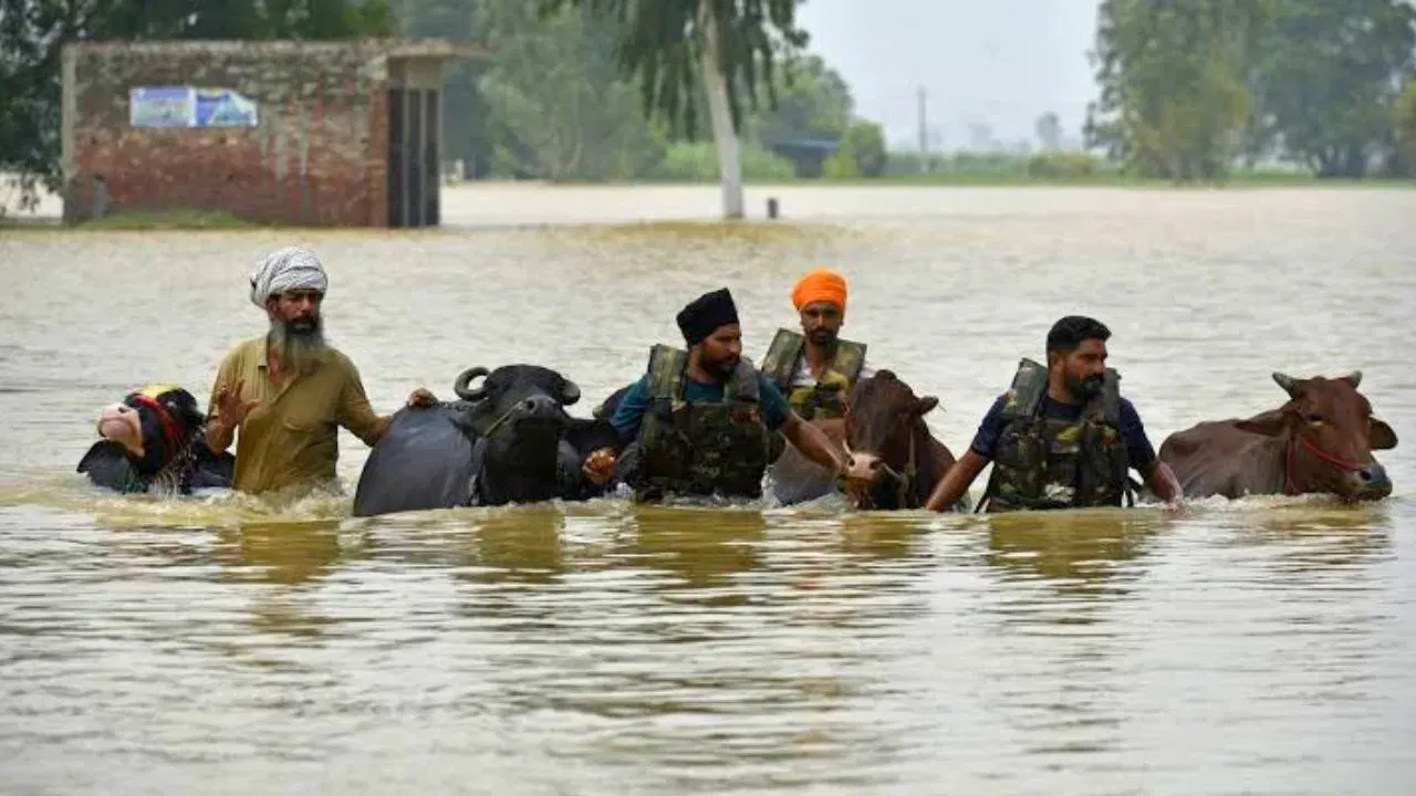4100पेक्षा जास्त गावांमध्ये हाहाकार, 4 कोटी लोकांवर परिणाम, 56 मृत्यू.. पंजाबमध्ये मोठं संकट