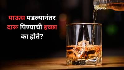 पाऊस पडल्यानंतर तुम्हाला दारू पिण्याची इच्छा होते का? काय आहे यामागील कारण? वाचा...