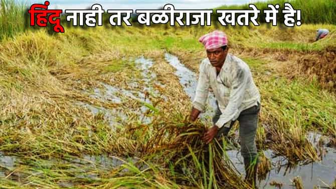 हिंदू नाही तर बळीराजा खतरे में है! अतिवृष्टीने शेतीची वाताहत, रोहित पवारांनी टोचले सरकारचे कान, काय केली मागणी?