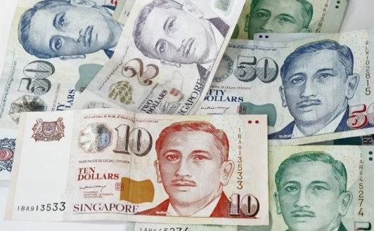 समजा भारतातील एखादी व्यक्ती सिंगापूरमध्ये जाऊन 1 लाख डॉलर्स कमवत असेल तर त्या डॉलर्सचे भारतात तब्बल 68 लाख  63 हजार 800 रुपये मिळतात. याच कारणामुळे सिंगापूरचा डॉलर भारतीय रुपयाच्या तुलनेत फार मजबूत आहे, असे म्हटले जाते. 