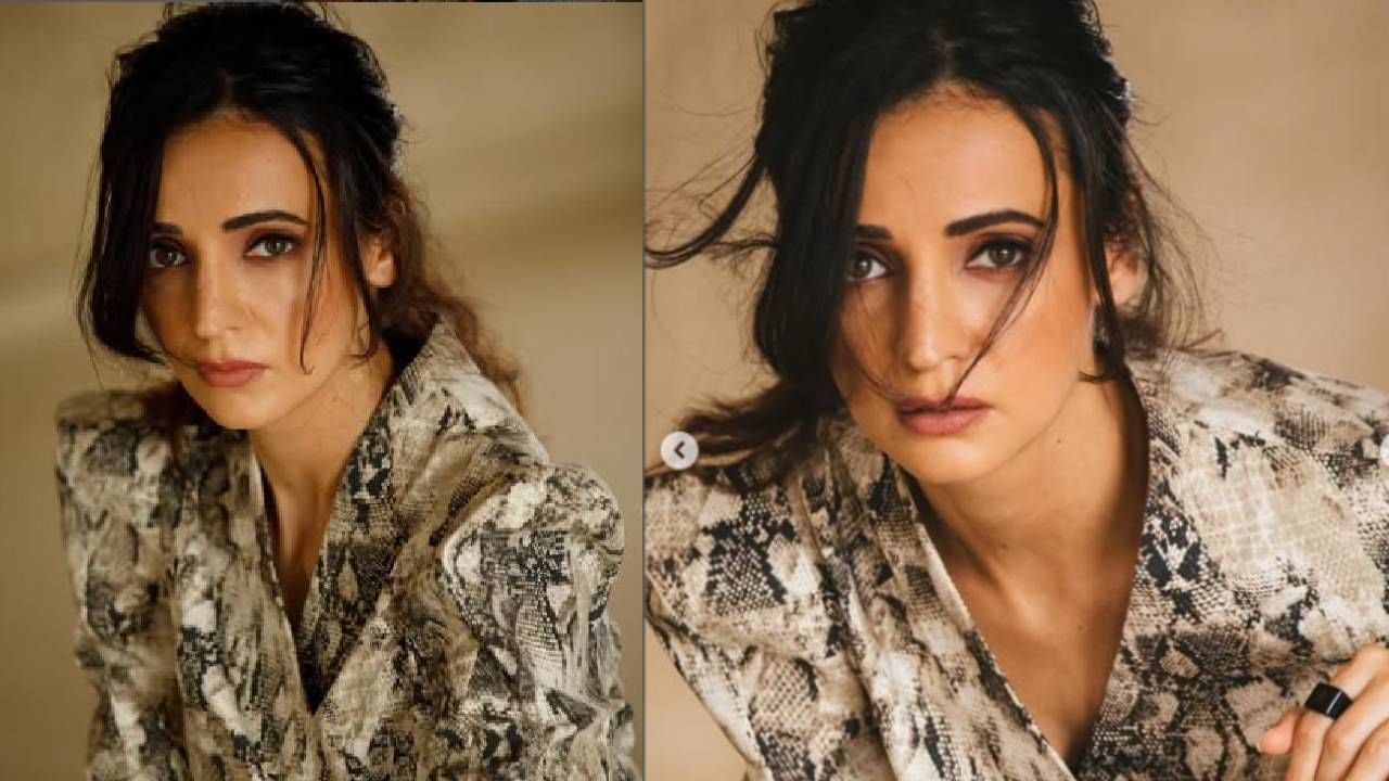 सनाया इराणीला एका अनपेक्षित भेटीने अभिनयाची संधी मिळाली. तिचे नशीब बदलले. हा किस्सा एका कॉफी शॉपमधील भेटीचा आहे. एक स्ट्रगलिंग मॉडेलला लोकप्रिय अभिनेत्री कशी बनवले. याबद्दल सनायाने एका मुलाखतीत सांगितले होते.