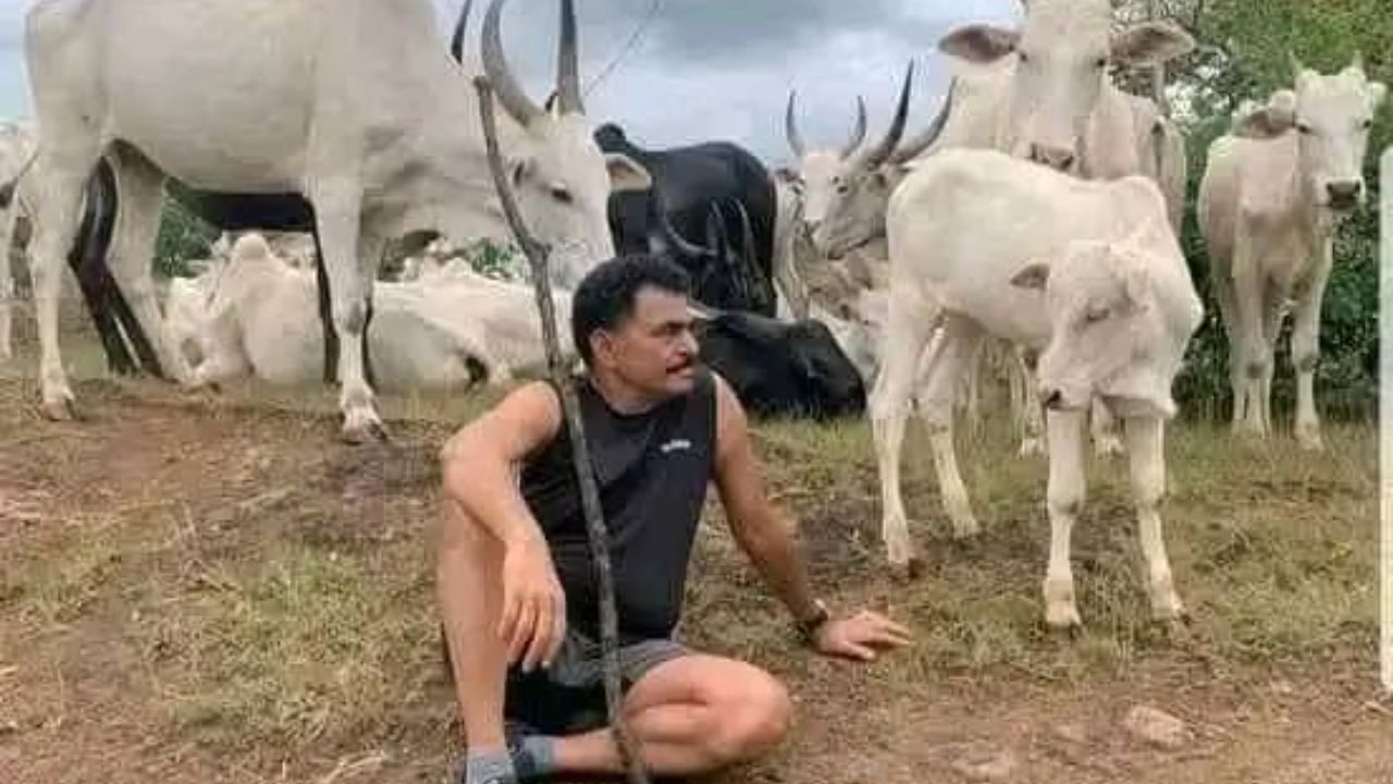 सयाजी शिंदे यांचा जन्म 13 जानेवारी 1959 रोजी सातारा जिल्ह्यातील वेळे-कामठी या छोट्याश्या गावी झाला. विविध भाषांतील चित्रपटामध्ये अधिराज्य गाजवणारा एक दिग्गज अभिनेता म्हणून सयाजी शिंदे यांचे नाव घेतले जाते. 