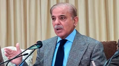 Shahbaz Sharif : आता भारताने काय केलं ? शाहबाज शरीफ यांचा अमेरिकेला फोन, पुन्हा तेच रडगाणं..